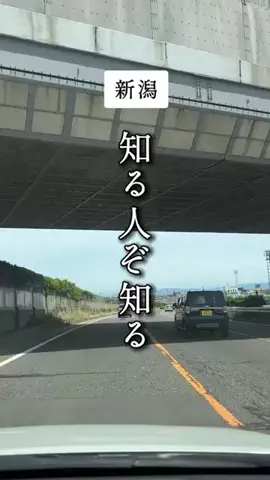 ハル｜新潟グルメ＆カフェ巡りのTikTok投稿
