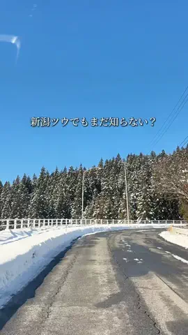 新潟グルメ/NIIGTA SELECTのTikTok投稿