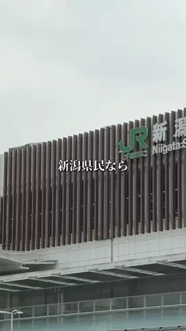 新潟グルメ/NIIGTA SELECTのTikTok投稿