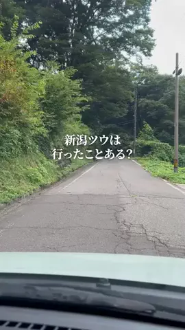 新潟グルメ/NIIGTA SELECTのTikTok投稿