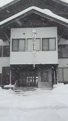 新潟グルメ/NIIGTA SELECTのTikTok投稿