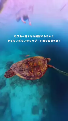 Maru【全国旅する愛知県民】のTikTok投稿