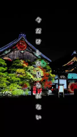 関西旅行studioのTikTok投稿