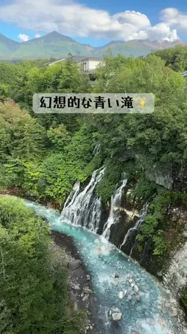 🥦コロンママ🍓のTikTok投稿