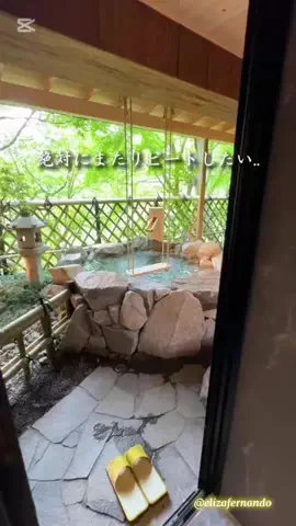 elizafernando3のTikTok投稿