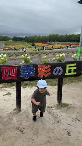 🥦コロンママ🍓のTikTok投稿