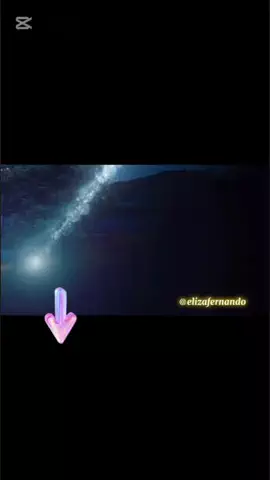 elizafernando3のTikTok投稿