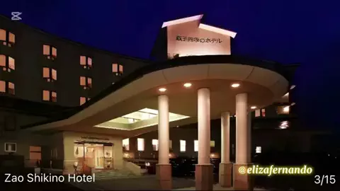 elizafernando3のTikTok投稿