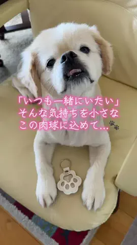 🥦コロンママ🍓のTikTok投稿