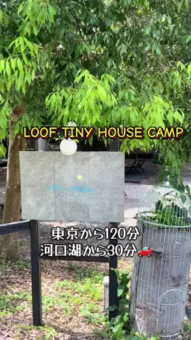 🥦コロンママ🍓のTikTok投稿