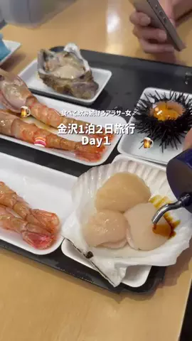 YOU旅行｜世界一周する家族✈️のTikTok投稿