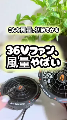らƕ's FindsのTikTok投稿