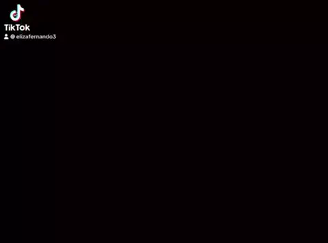 elizafernando3のTikTok投稿