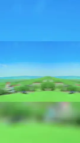 elizafernando3のTikTok投稿
