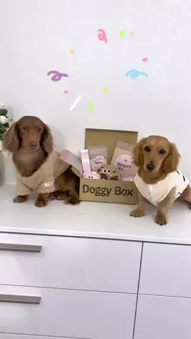 kuku.yoyo_boyのTikTok投稿
