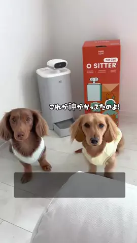 kuku.yoyo_boyのTikTok投稿
