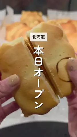さやちゃん｜北海道隠れ家グルメ🍷のTikTok投稿
