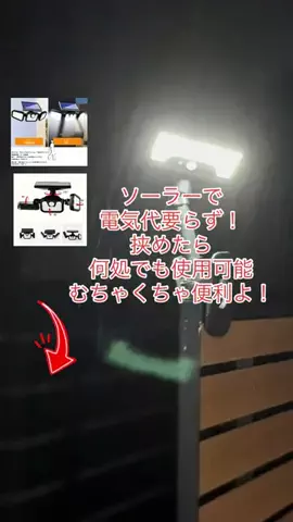 ちーちゃん🎀2匹のわんことハッピー人生のTikTok投稿