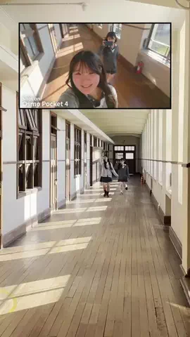 シライフウタのTikTok投稿