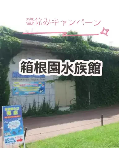 🌿𝙉𝙖𝙢𝙞🍜❤【自粛中】のTikTok投稿