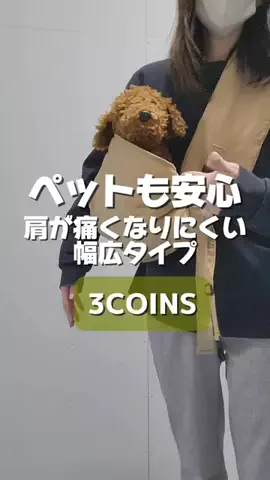 3coins_oikeのTikTok投稿