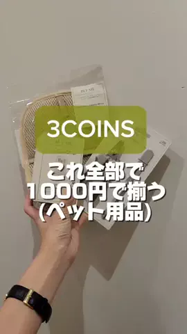 3coins_oikeのTikTok投稿