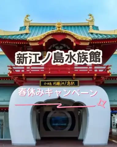 🌿𝙉𝙖𝙢𝙞🍜❤【自粛中】のTikTok投稿