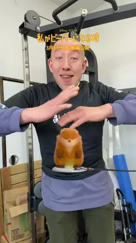 ごうけつチンパンジー食堂のTikTok投稿