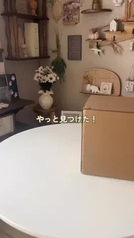 salut_emiのTikTok投稿