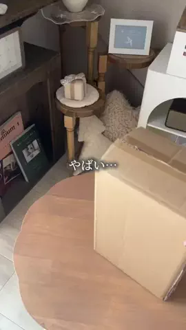 salut_emiのTikTok投稿