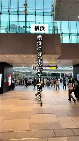 横浜グルメ・神奈川グルメのTikTok投稿