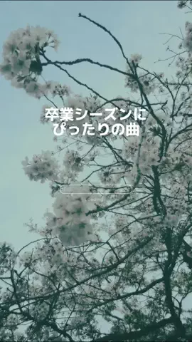 日めくりプレイリストのTikTok投稿