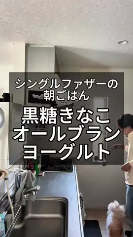 ヤギ(VLOG)のTikTok投稿
