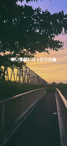 日めくりプレイリストのTikTok投稿