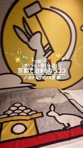 きぬあ🏨｜ご褒美ステイ🐰🫶🏻のTikTok投稿