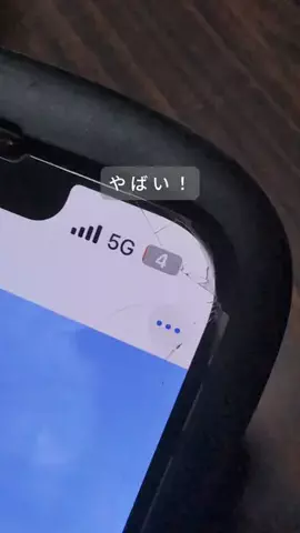お得のいっぽちゃんのTikTok投稿