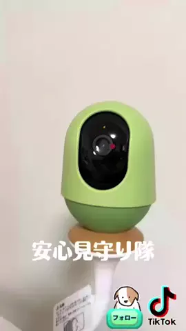 tomapin05babyのTikTok投稿
