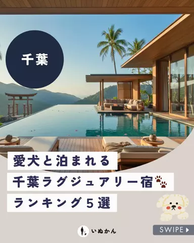 愛犬と行ける関東の宿のTikTok投稿