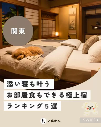 愛犬と行ける関東の宿のTikTok投稿