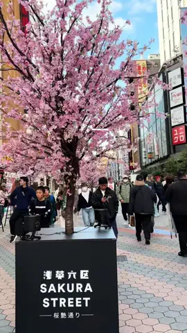 いまコレ発信局 | 話題トレンドのスポット・商品を紹介🌷のTikTok投稿