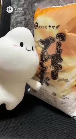 Horror ChannelのTikTok PR投稿：めちゃくちゃ安くて美味い米 #tiktokshop #horror #pr