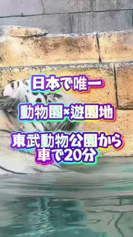 茨城と栃木の県境に住んでいますのTikTok投稿
