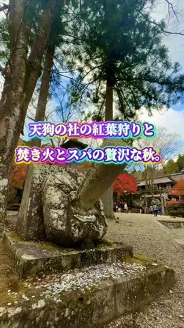 茨城と栃木の県境に住んでいますのTikTok投稿