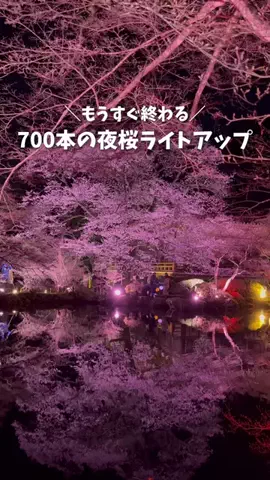 Mina【関西を愛する女子のプチ旅】のTikTok投稿