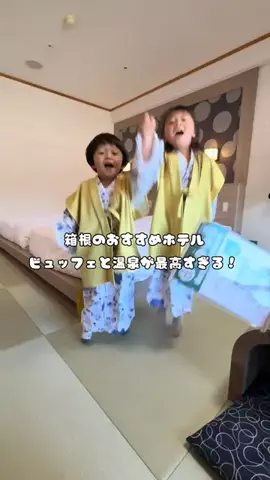 小さな森の家族のTikTok投稿