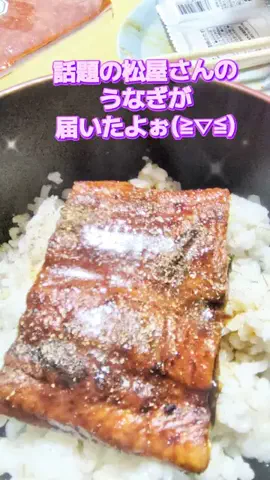 にゃんコロンちゃん♪のTikTok投稿
