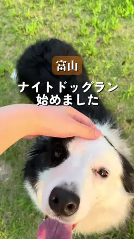 食いしん坊大学生【富山おでかけガイド】のTikTok投稿