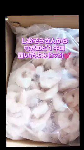 にゃんコロンちゃん♪のTikTok投稿