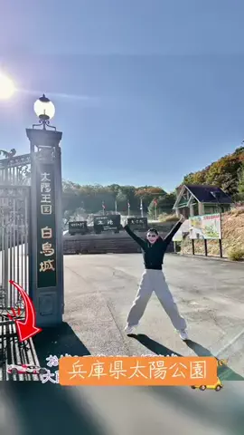 luckymami555のTikTok投稿