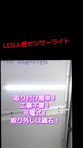 にゃんコロンちゃん♪のTikTok投稿